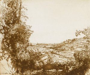 Olive Groves by Donald Shaw MacLaughlan