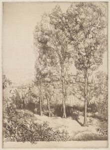 Sunlight and Shadows, No. 3 by Donald Shaw MacLaughlan