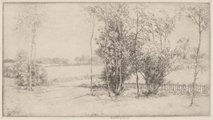 Sussex Landscape