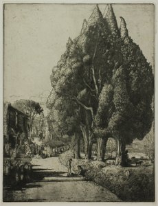 The Cypress Grove