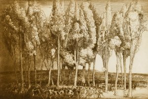 The Dance of Spring by Donald Shaw MacLaughlan