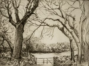 Tragenna Wood