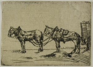 Two Horses