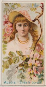 Acacia: Chaste Love, from the series Floral Beauties and Language of Flowers N75 for Duk..., 1892