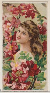 Azalea: Attraction, from the series Floral Beauties and Language of Flowers N75 for Duke, 1892 by Donaldson Brothers