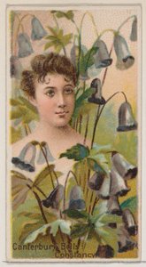 Canterbury Bells: Constancy, from the Series Floral Beauties and Language of Flowers, 1892