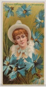 Cornflower: Modesty, from the series Floral Beauties and Language of Flowers N75 for Duk by Donaldson Brothers