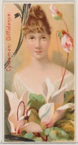 Cyclamen: Diffidence, from the series Floral Beauties and Language of Flowers N75 for Duke, 1892 by Donaldson Brothers