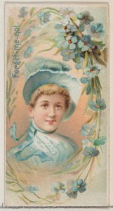 Forget-Me-Not, from the series Floral Beauties and Language of Flowers N75 for Duke brand, 1892