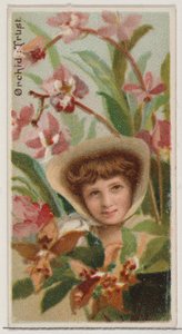 Orchid: Trust, from the series Floral Beauties and Language of Flowers N75 for Duke brand