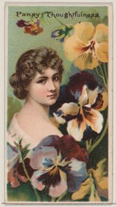 Pansy: Thoughtfulness, from the series Floral Beauties and Language of Flowers N75 for D...