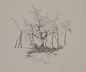 The Apple Tree by Donatella Merlo