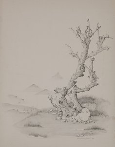 The Trunk by Donatella Merlo
