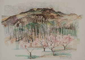 The vineyard of Vergne by Donatella Merlo