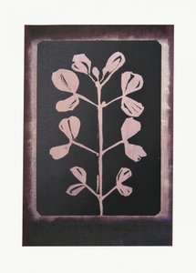 Dark Botanical Silhouette by Doris Schmitz