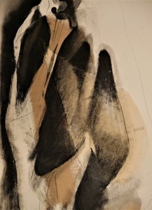 Flowing Abstract Forms
