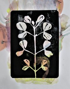 Pastel Botanical Study by Doris Schmitz
