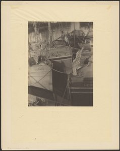 Harbor, Crowded with Sail-Masted Fishing Vessels