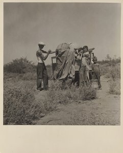 Transients, New Mexico