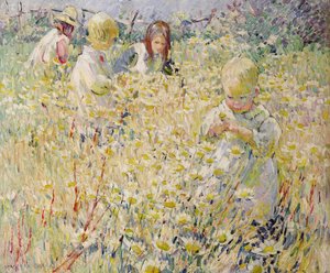 Amongst the Daisies