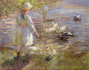 Feeding the Ducks