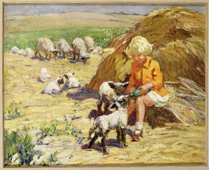 Feeding the Lambs