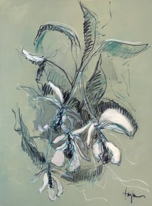 Elegant Orchid Sketch