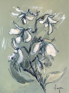 White Floral Sketch