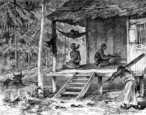Malaysian hut, 19th century