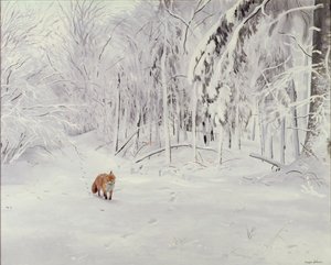 Fox in Deep Snow