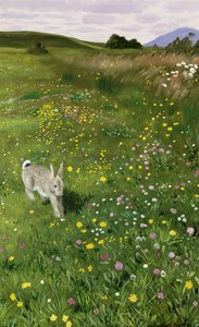Hare in Spring Flowers