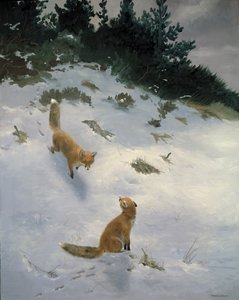 Love at First Sight, Foxes in the Snow