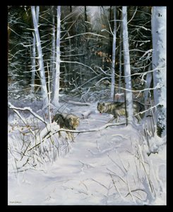 Wolves in a Snowy Forest