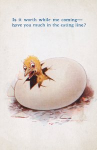 Egg Opening