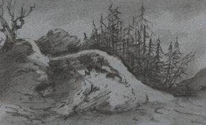 Composition of Rocks and Pine Trees by Dr. Thomas Monro