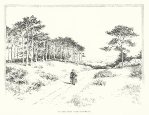 On the Road near Hindhead by Duncan Moul