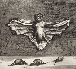 A Bat known as a Flying Cat, from China Illustrated by Athanasius Kircher, 1667