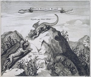 A Mountain in the Jiangxi Province with Crags Known as the Dragon and the Tiger, from China Illustrated by Athanasius Kircher by Dutch School