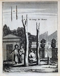 Lime and Orange Trees, from De Nederlandze Hesperides by Jan Commelin, published 1676 by Dutch School