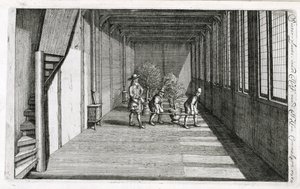 Moving trees into the garden for summer, from De Nederlandze Hesperides by Jan Commelin, published 1676 by Dutch School
