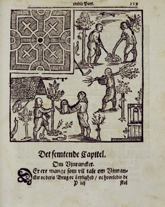 Planting trees, from The Dutch Gardener by Johann van der Groen, published 1699 by Dutch School