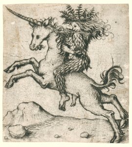 Wildman on a Unicorn
