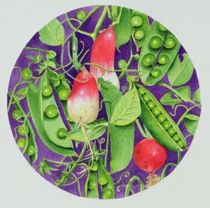 Peas with three Radishes by E.B. Watts