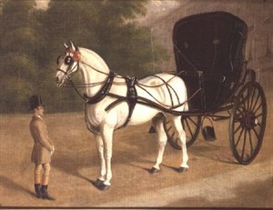 A Grey Horse and Cabriolet with Groom by E.M. Fox