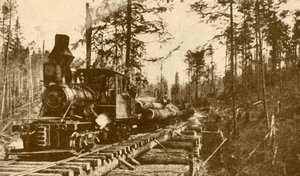 A Logging Railway, British Columbia by ENA
