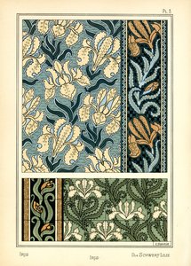 The Iris by E. Hervegh