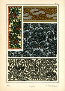 The Sorb by E. Hervegh