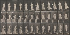 Animal Locomotion. An Electro-Photographic Investigation of Animal Movements by Eadweard Muybridge