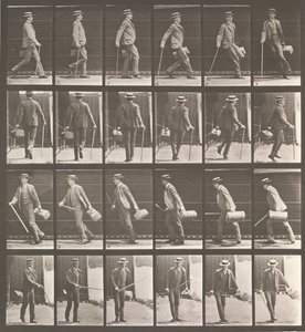 Animal Locomotion. An Electro-Photographic Investigation of Animal Movements, 1880s by Eadweard Muybridge