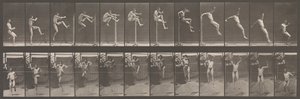 Animal Locomotion. An Electro-Photographic Investigation of Consecutive Phases of Animal by Eadweard Muybridge